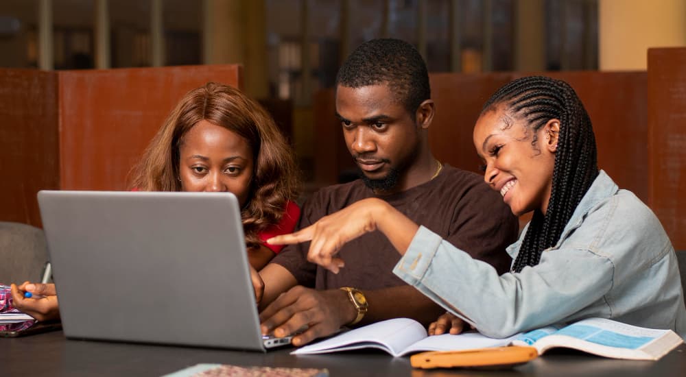 Knowledge Transfer & Capacity Building